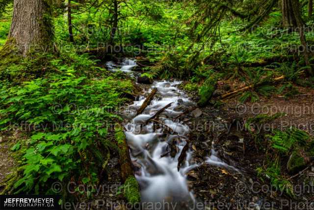 Nature, Stream, Summer, Water